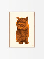 Load image into Gallery viewer, Helena Frank Orange Kitten
