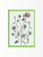 Load image into Gallery viewer, Artcard Plan†s
