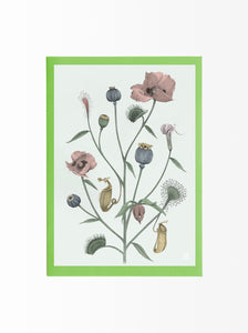 Artcard Plan†s