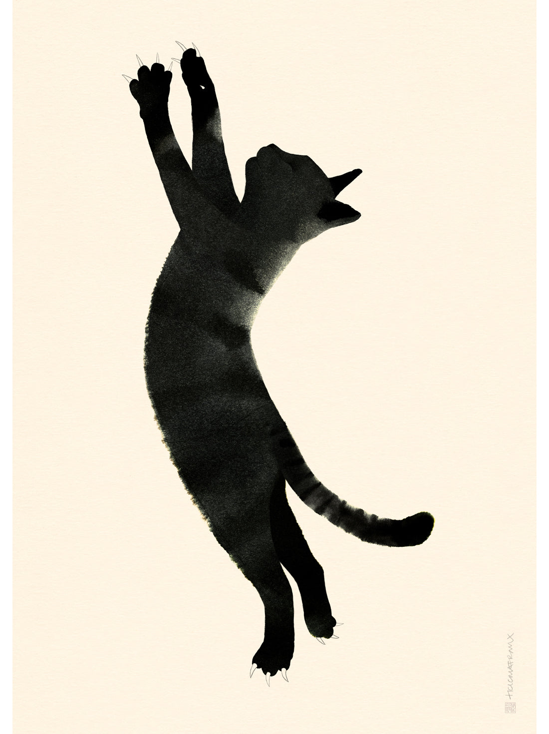 Black Cat illustration
