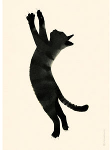 Black Cat illustration