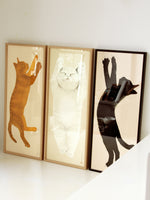 Load image into Gallery viewer, Helena Frank cats
