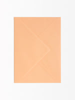 Load image into Gallery viewer, Envelope Apricot 
