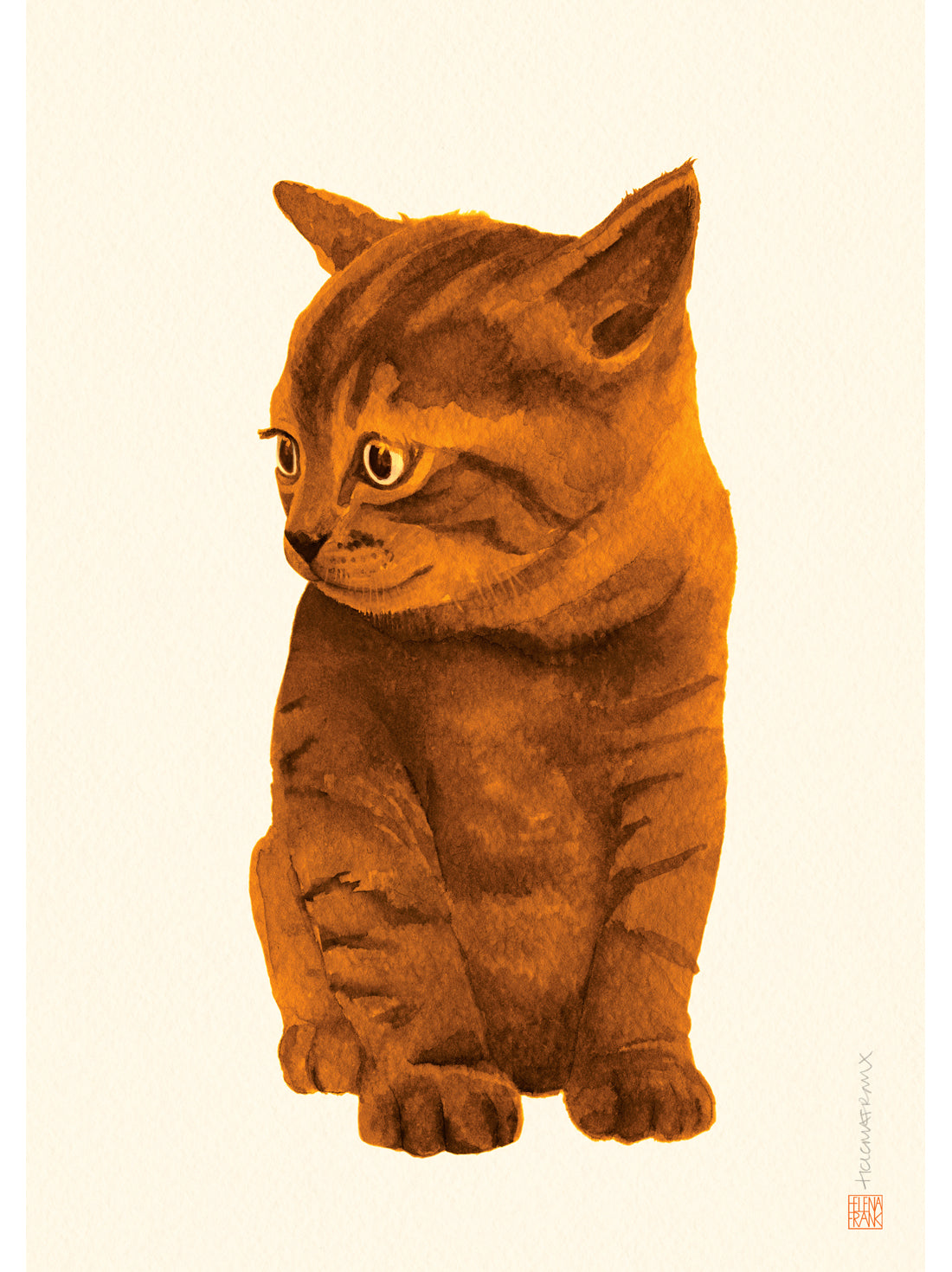 Orange Kitten illustration