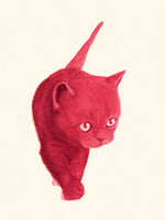 Load image into Gallery viewer, Pink Kitten illustration
