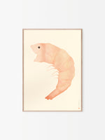 Load image into Gallery viewer, Helena Frank Shrimpy

