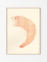 Load image into Gallery viewer, Framed "Shrimpy" by Helena Frank 
