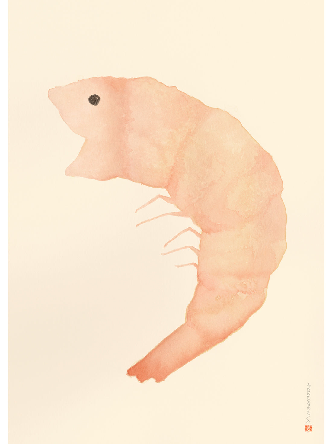 Shrimpy illustration