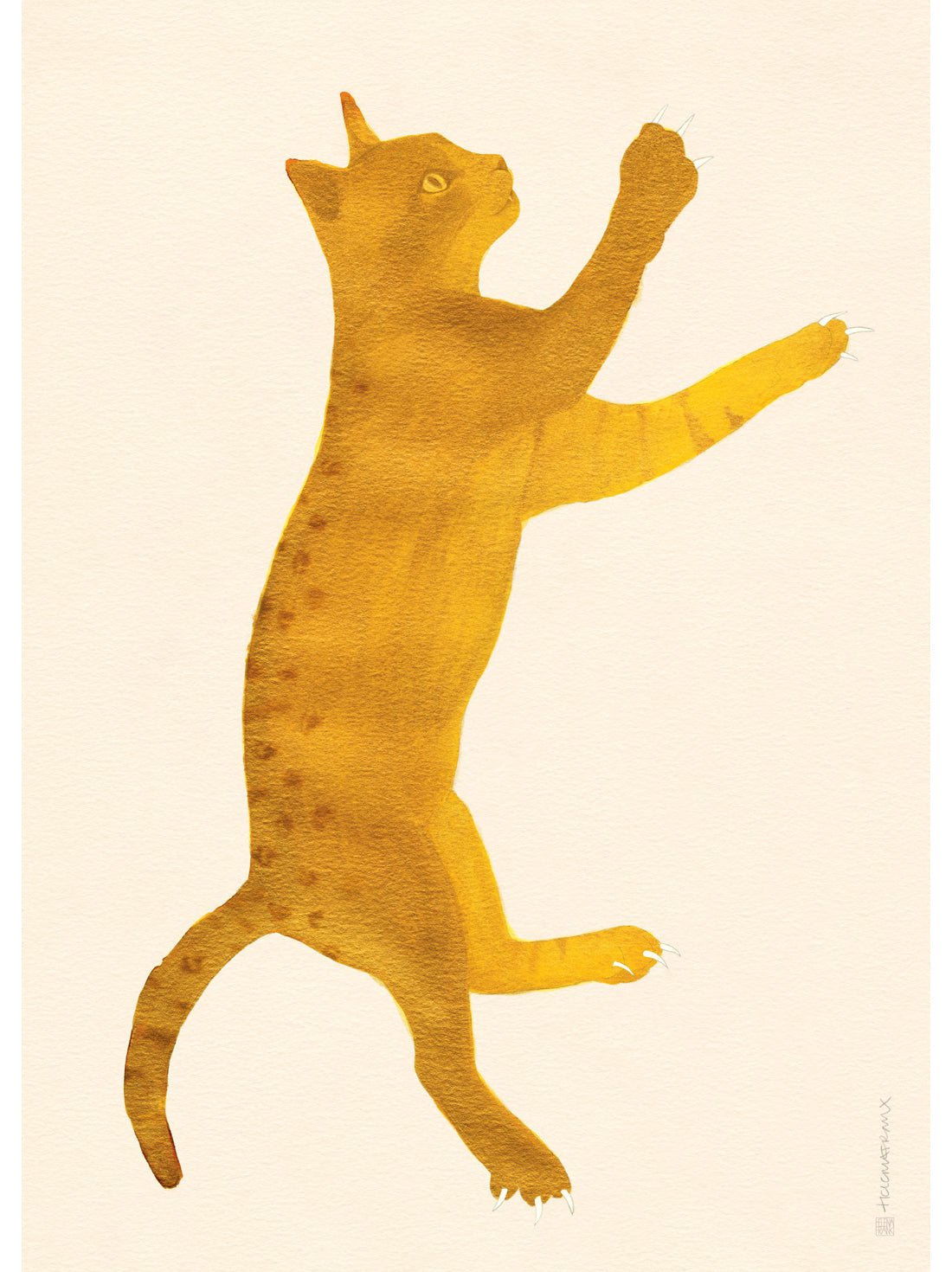 Yellow Cat illustration
