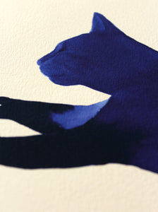 Blue Cat detail