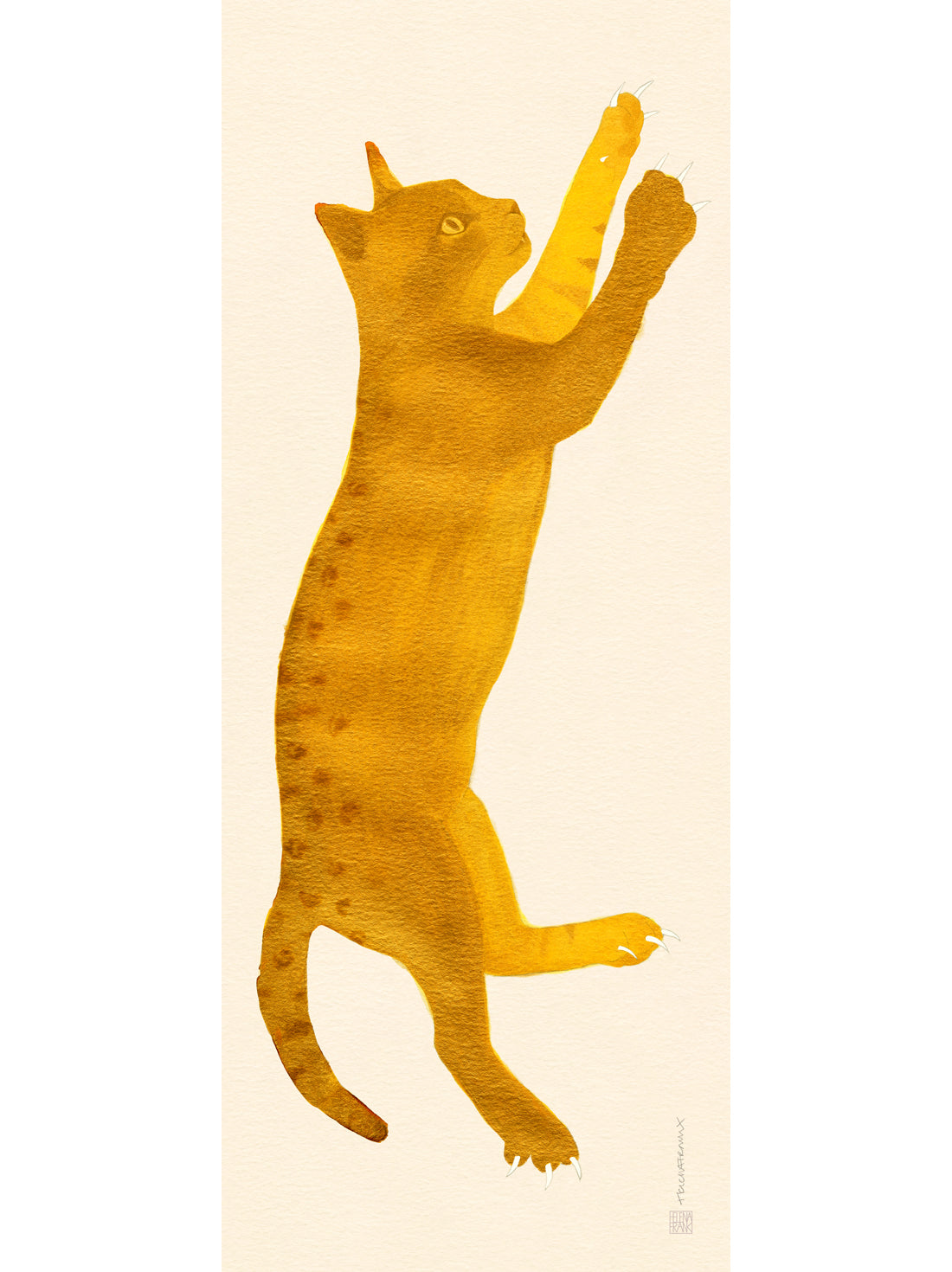 Leo Cat illustration