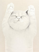 Load image into Gallery viewer, White Cat illustration
