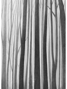 Wooden lines B2 artprint