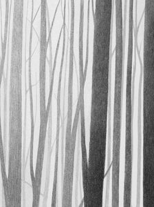 Wooden lines illustration